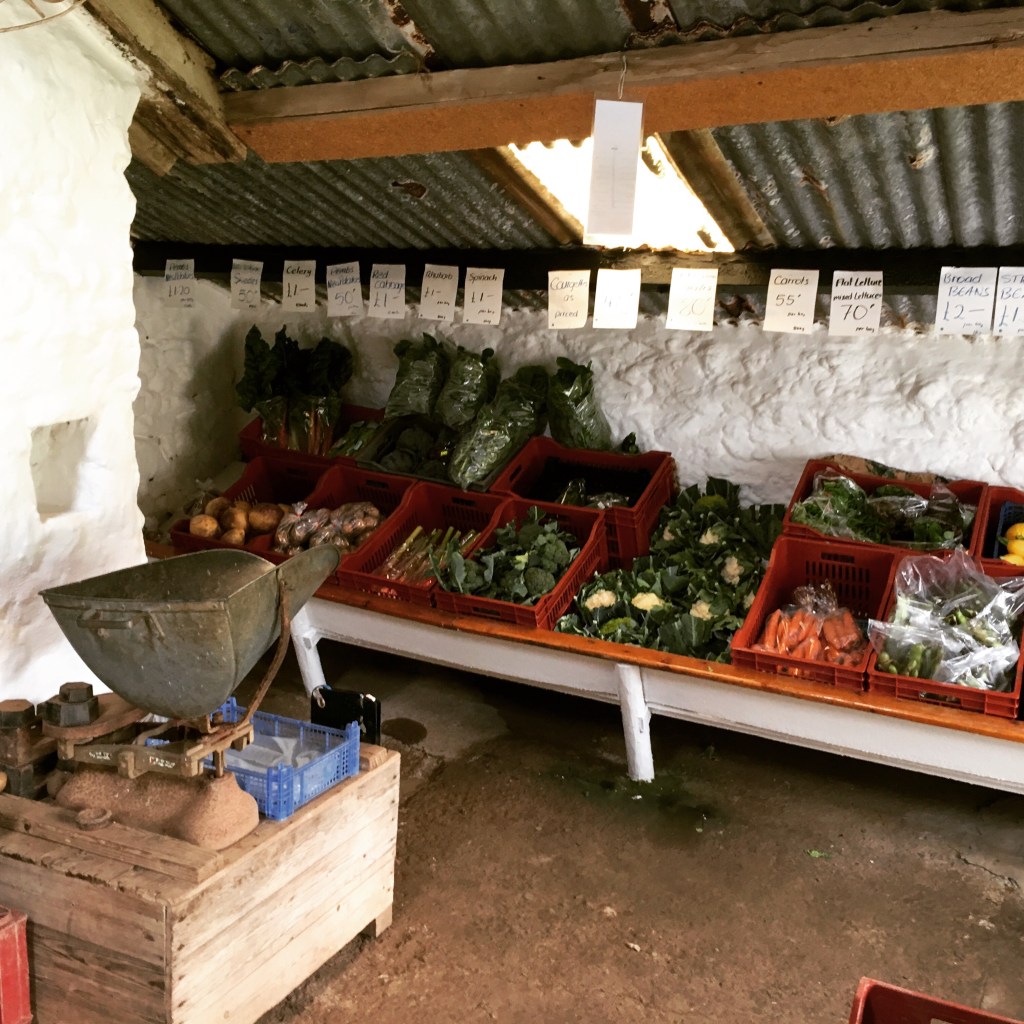 Farm Shop Farm Shop