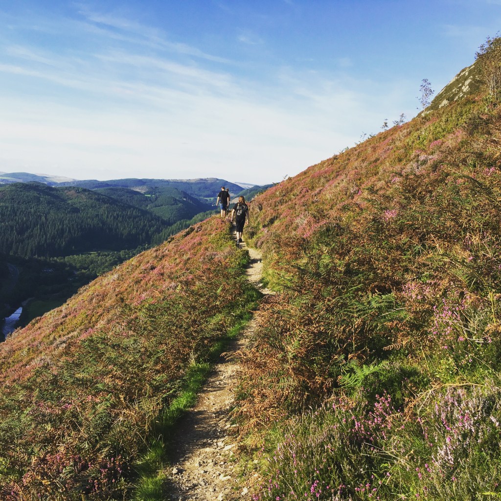 Südfranzösisches Wales Südfranzösisches Wales