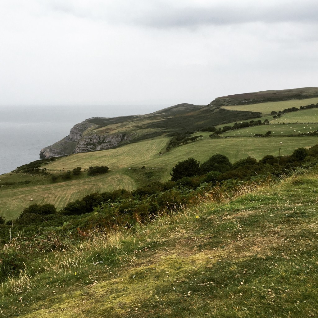 Great Orme Great Orme