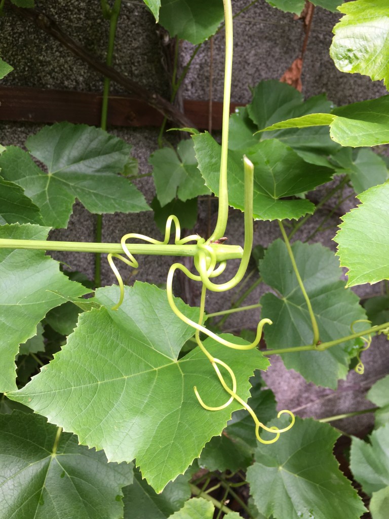 Alles hängt mit allem zusammen 