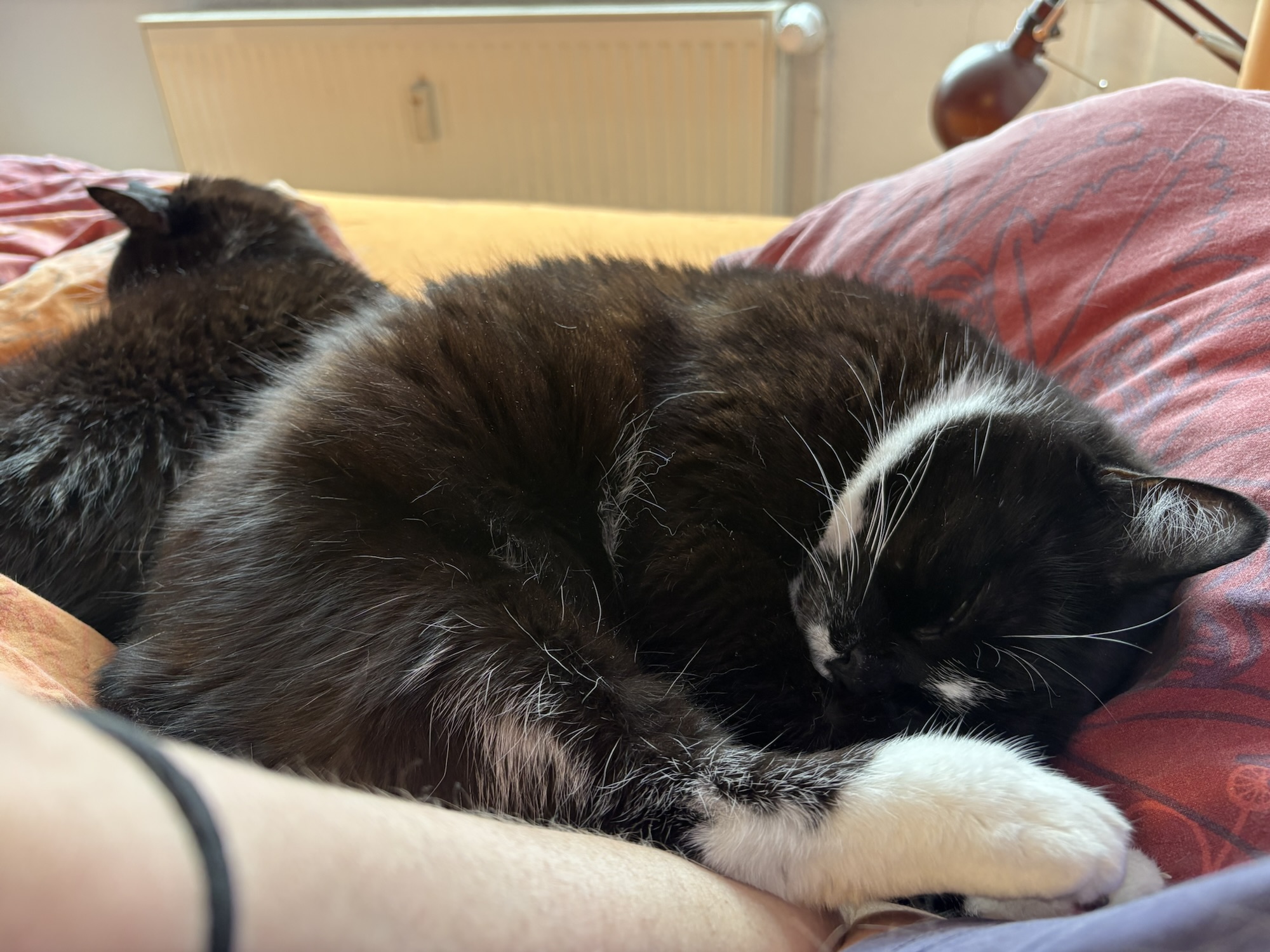 24.04.2026 – Family Time